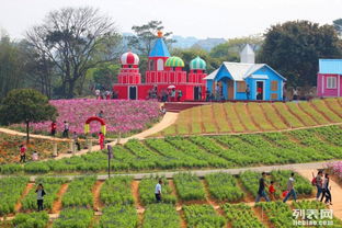 東莞松湖生態(tài)園團(tuán)隊(duì)旅游休閑度假田園生活戶外農(nóng)家樂(lè)