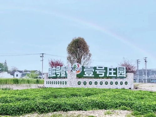 張家港人春天最正確的打開(kāi)方式 馬上出發(fā)