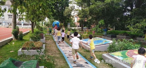 東暉實(shí)驗(yàn)學(xué)校2020 2021學(xué)年新生網(wǎng)上報(bào)名