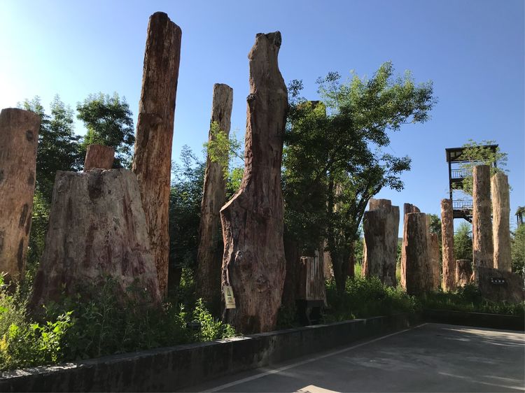 探秘烏魯木齊野馬古生態(tài)園 自然與歷史交融的生態(tài)奇境