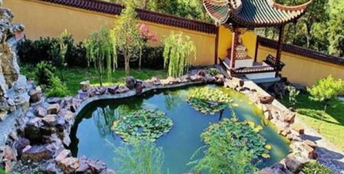 楊氏草莓生態園門票預訂攻略 價格、渠道與游玩指南